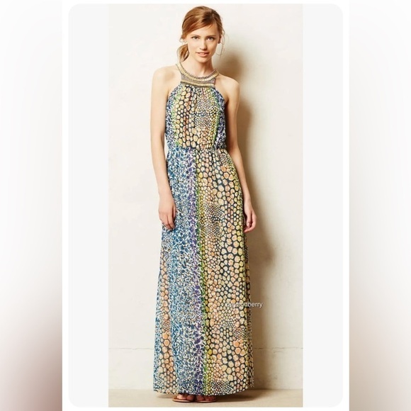 Anthropologie HD In Paris Mayacamas Beaded Maxi Dress Size Small - Picture 3 of 12